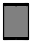 Thumbnail image of iPad Air